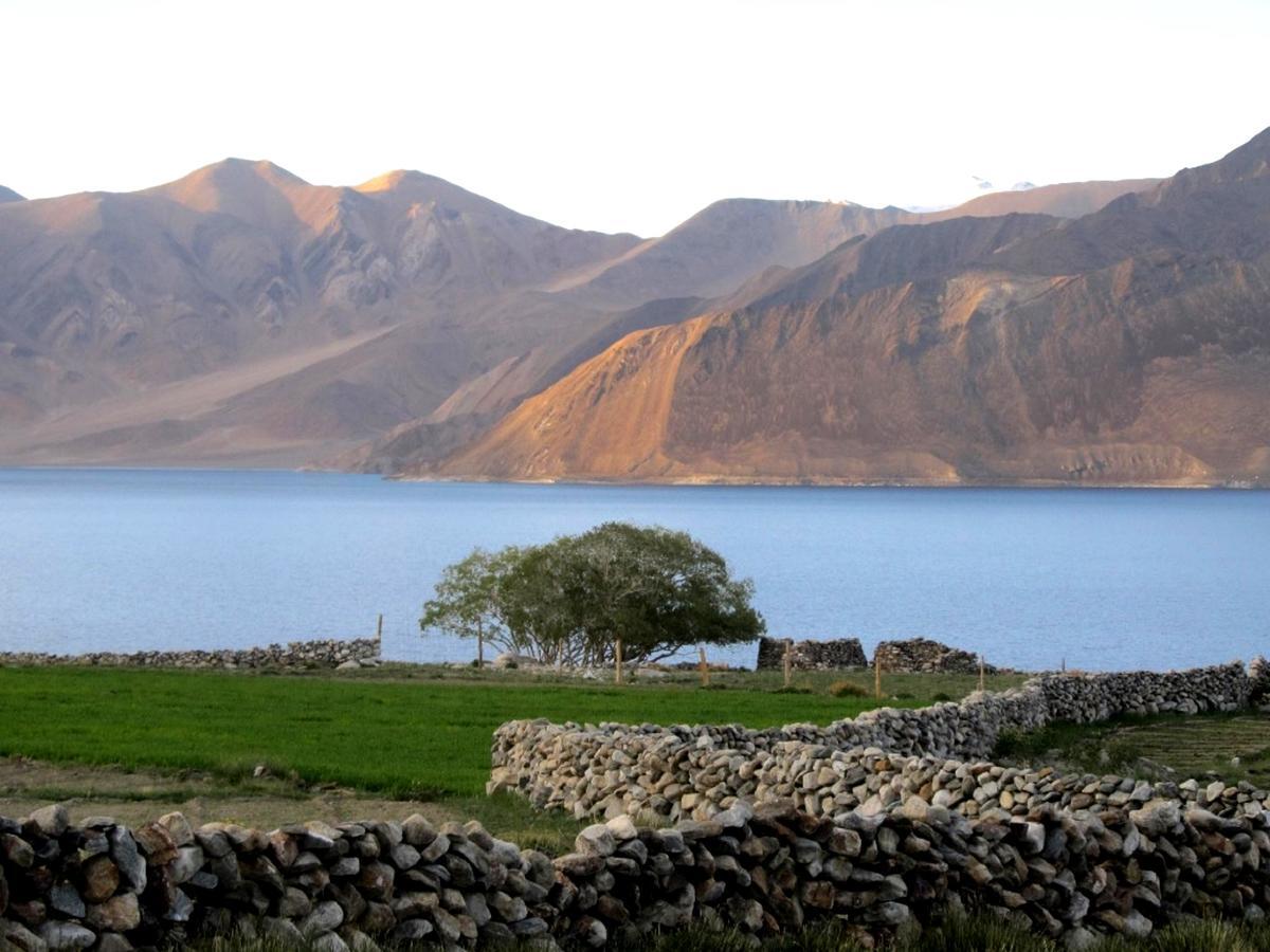 Pangong Delight Camps And Cottages Spangmik Exterior photo