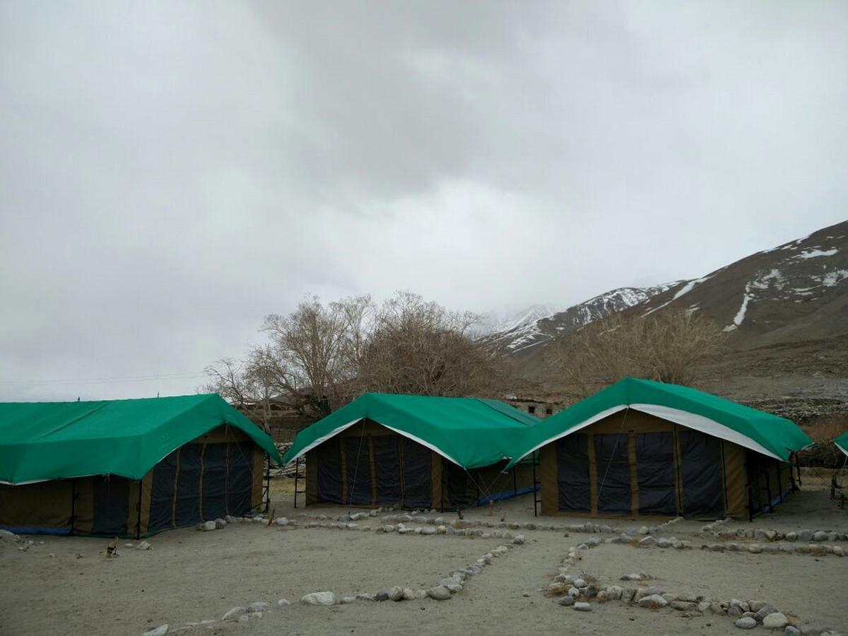 Pangong Delight Camps And Cottages Spangmik Exterior photo